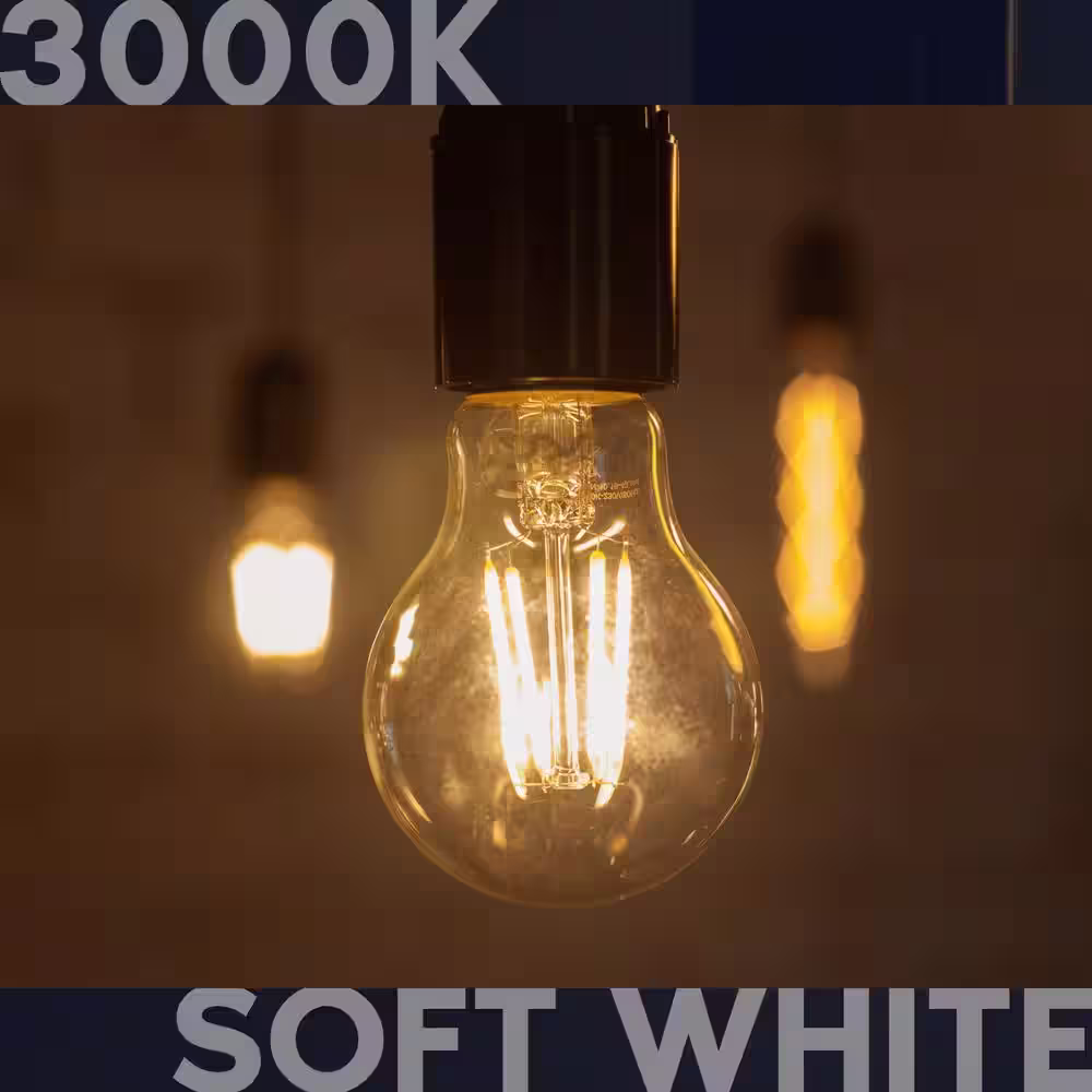 None 100-Watt Equivalent A19 1600 Lumens Dimmable E26 Edison LED Light Bulb 12-Watt Damp Rated UL 3000K Soft White (4-Pack)