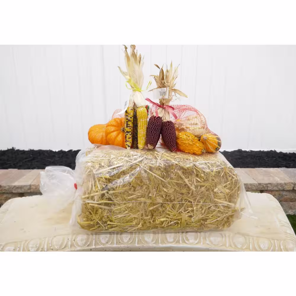 None Mini Straw Bales (2-Pack)