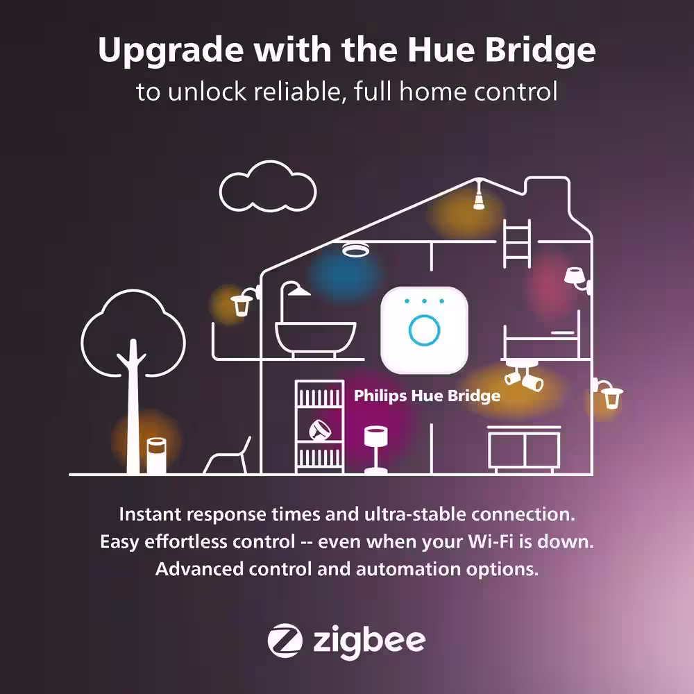 Philips Hue Econic Black Outdoor Pathway Color Changing Integrated LED Low Voltage Smart Plug-In Light Extension  (1-Pack)